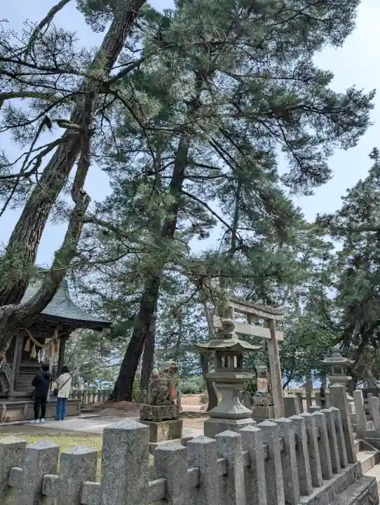 天橋立神社の{uncategorized: "未分類", other: "その他", undefined: "問題あり", building: "その他建物", grave: "お墓", sacred_gate: "鳥居", guardian: "狛犬", statue: "像", buddha: "仏像", history: "歴史", nature: "自然", garden: "庭園", animal: "動物", pagoda: "塔", temizu: "手水舎", mountain_gate: "山門・神門", sanctuary: "本殿・本堂", subordinate: "末社・摂社", art: "芸術", scenery: "景色", jizo: "地蔵", ema: "絵馬", goshuin: "御朱印", omikuji: "おみくじ", items: "授与品その他", amulet: "お守り", goshuincho: "御朱印帳", eats: "食事", festival: "お祭り", votive_dance: "神楽", shichigosan: "七五三参", wedding: "結婚式", experience: "体験その他", initially: "初詣", around: "周辺", anti_infection: "感染症対策"}
