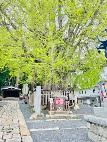 熊野大社(山形県)