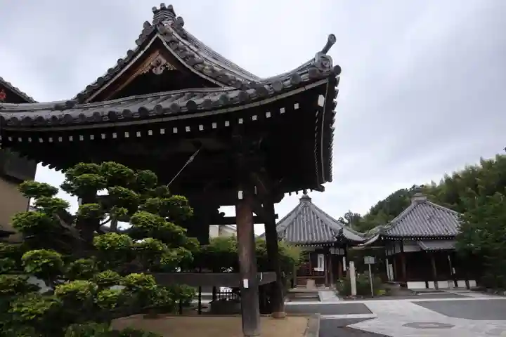大善寺(京都府)