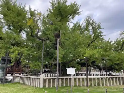 本願寺（西本願寺）(京都府)