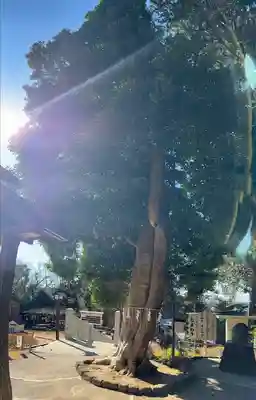 思金神社(神奈川県)