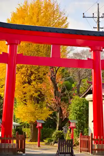 鷲宮神社(埼玉県)