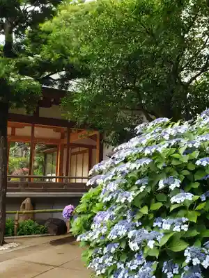 鳩森八幡神社のその他建物