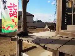 白根神社の動物