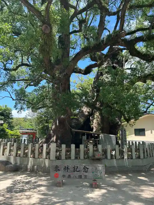 宇美八幡宮(福岡県)