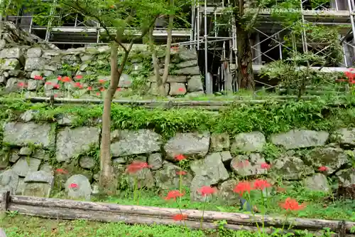 清水寺の景色