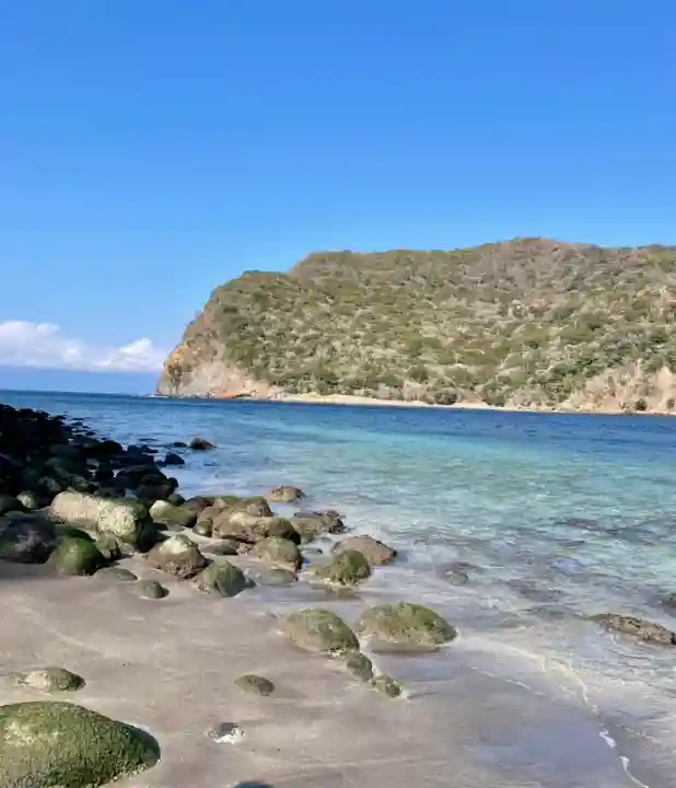 諸口神社(静岡県)