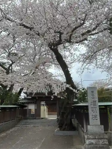増明院(東京都)