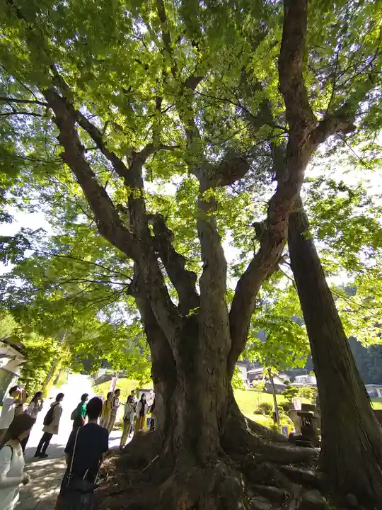 諏訪大社上社前宮(長野県)