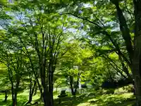 土津神社|こどもと出世の神さまの景色