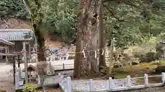 葛神社(奈良県)