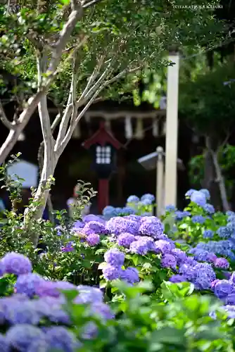 白山神社の庭園