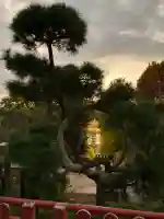 清水観音堂(東京都)