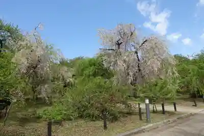 半木神社（賀茂別雷神社境外末社）(京都府)