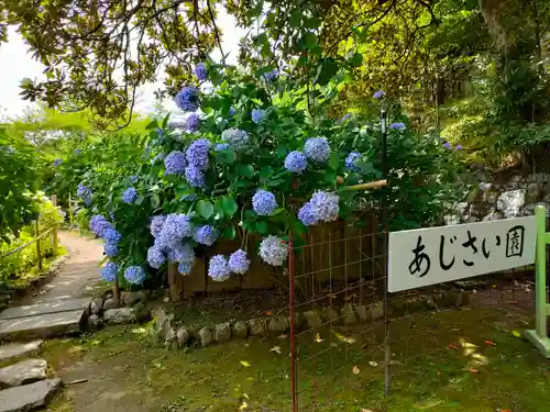 熊野那智大社の庭園