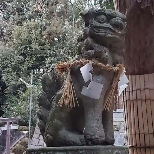 岡八幡宮の狛犬