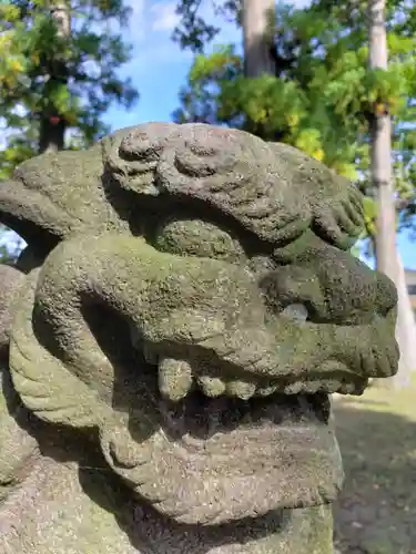 白山神社の狛犬