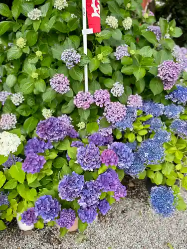 源九郎稲荷神社の自然