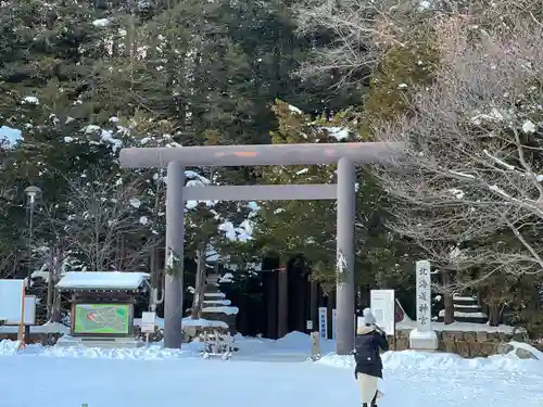 北海道神宮の鳥居