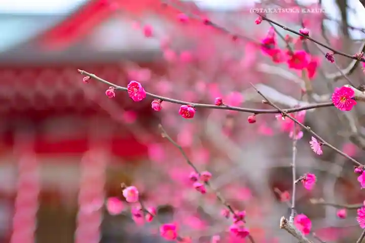 岡村天満宮(神奈川県)