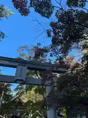 彌彦神社　(伊夜日子神社)(北海道)