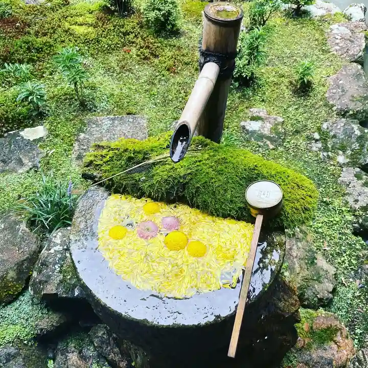 柳谷観音 楊谷寺(京都府)