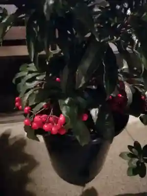 伏木香取神社のその他建物