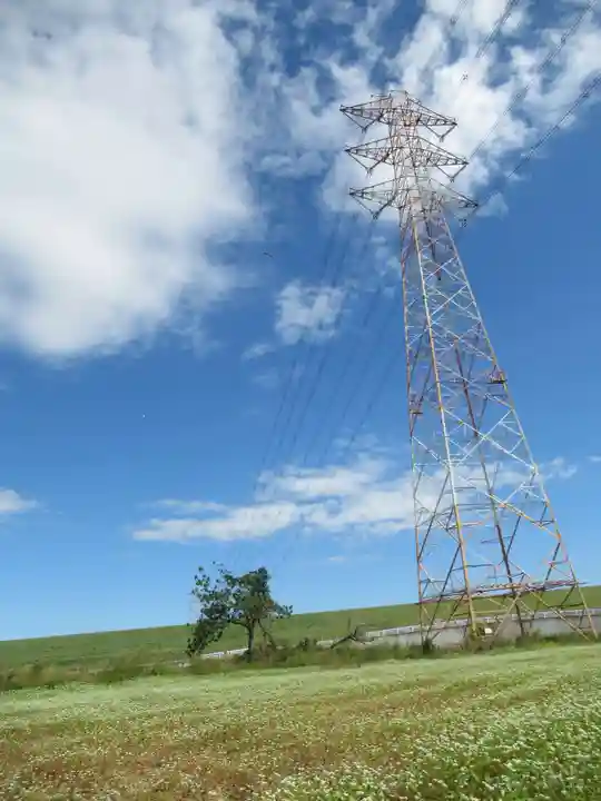 子の権現神社(埼玉県)