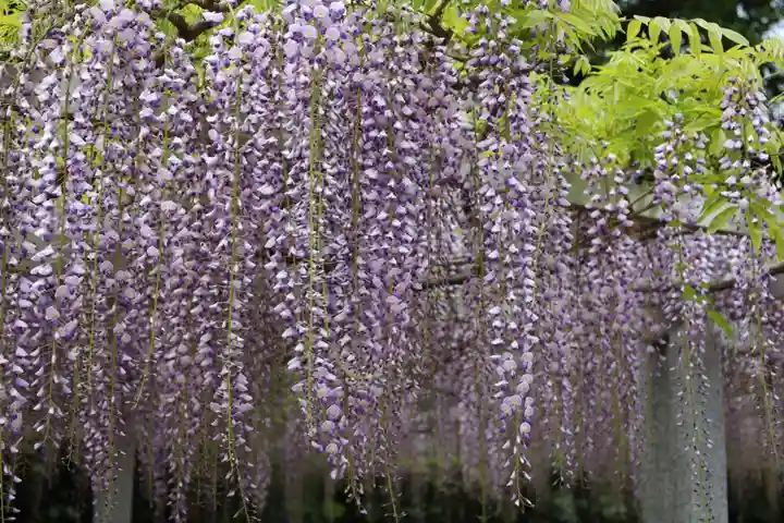 三大神社(滋賀県)