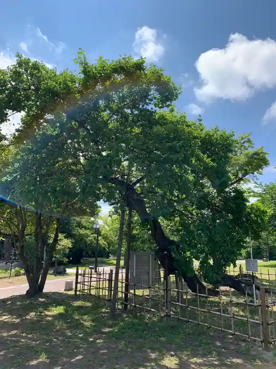 櫻岡大神宮の周辺