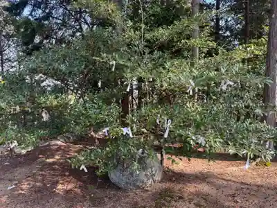 宗形神社(岡山県)