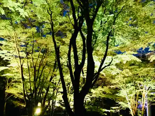 土津神社｜こどもと出世の神さまの自然