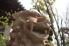 柿本神社の狛犬