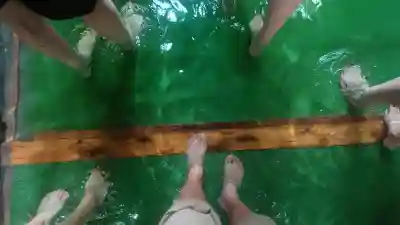 賀茂御祖神社（下鴨神社）のお祭り