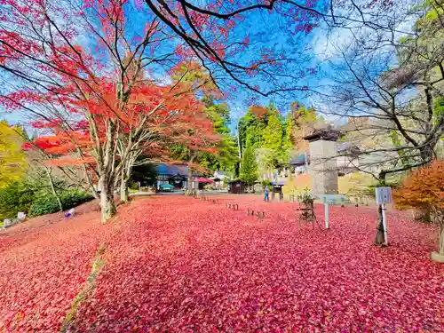 土津神社｜こどもと出世の神さま(福島県)