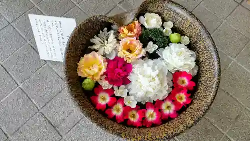 美瑛神社の手水