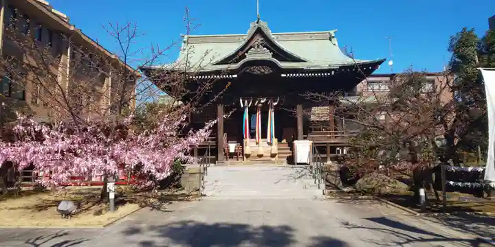 桜神宮の本殿・本堂