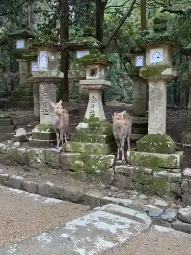 春日大社(奈良県)