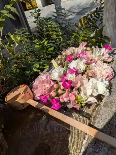 本郷氷川神社(東京都)