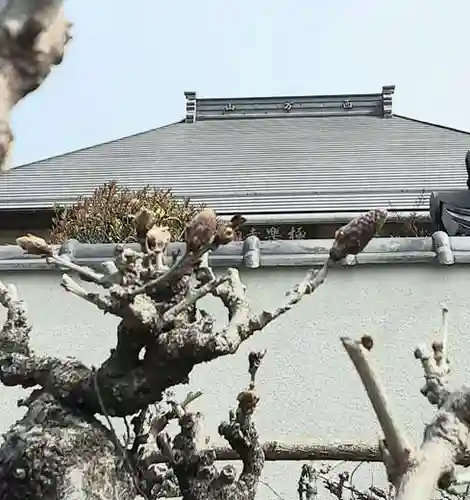 西方山極楽寺(岐阜県)