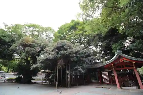 金王八幡宮の御朱印