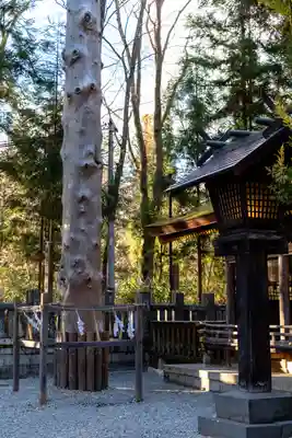 諏訪大社下社春宮(長野県)