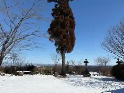 四津山神社の{uncategorized: "未分類", other: "その他", undefined: "問題あり", building: "その他建物", grave: "お墓", sacred_gate: "鳥居", guardian: "狛犬", statue: "像", buddha: "仏像", history: "歴史", nature: "自然", garden: "庭園", animal: "動物", pagoda: "塔", temizu: "手水舎", mountain_gate: "山門・神門", sanctuary: "本殿・本堂", subordinate: "末社・摂社", art: "芸術", scenery: "景色", jizo: "地蔵", ema: "絵馬", goshuin: "御朱印", omikuji: "おみくじ", items: "授与品その他", amulet: "お守り", goshuincho: "御朱印帳", eats: "食事", festival: "お祭り", votive_dance: "神楽", shichigosan: "七五三参", wedding: "結婚式", experience: "体験その他", initially: "初詣", around: "周辺", anti_infection: "感染症対策"}