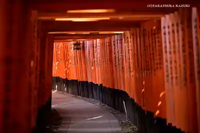 伏見稲荷大社 奥社奉拝所の鳥居