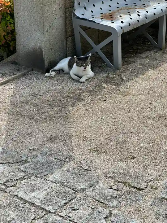 叶神社(東叶神社)(神奈川県)
