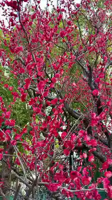 屯倉神社(大阪府)