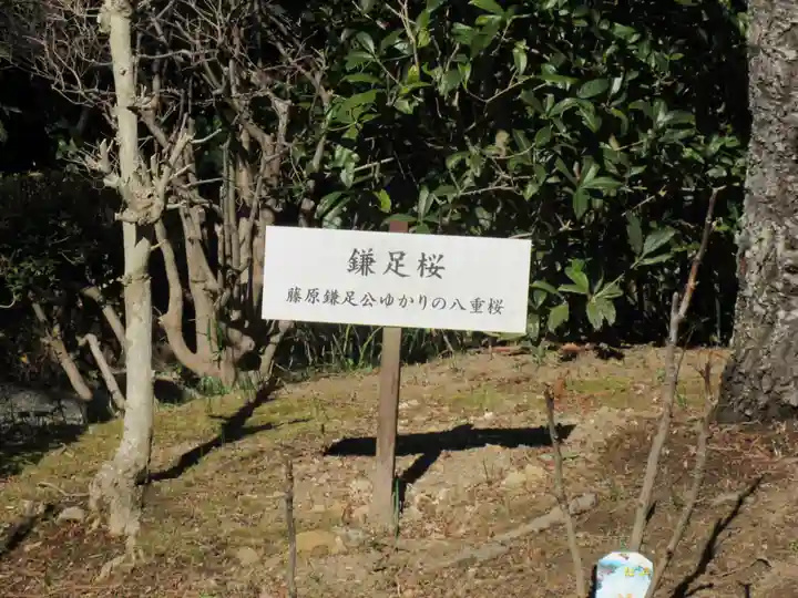 浄妙寺のその他建物