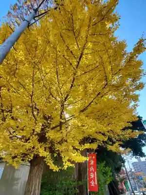 阿邪訶根神社(福島県)