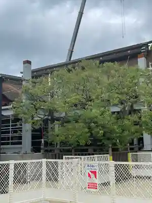 太宰府天満宮(福岡県)