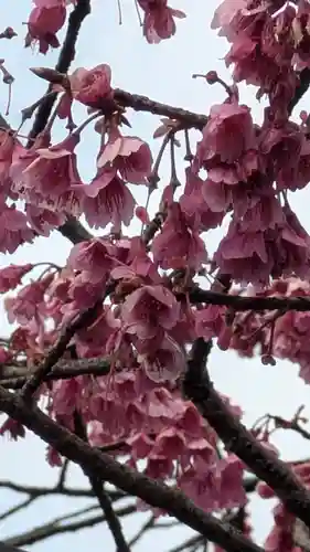 金佛殿 延壽寺（延寿寺）(京都府)
